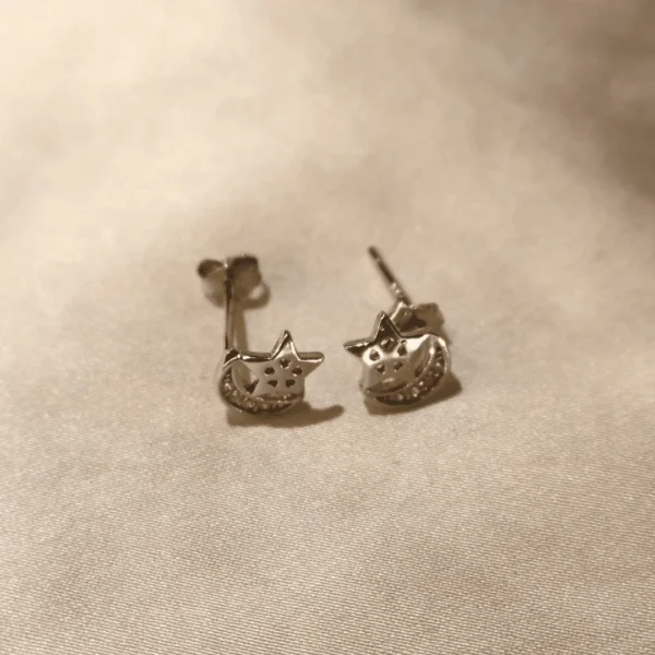 Moon Star Earrings