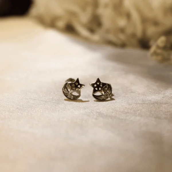 Moon Star Earrings
