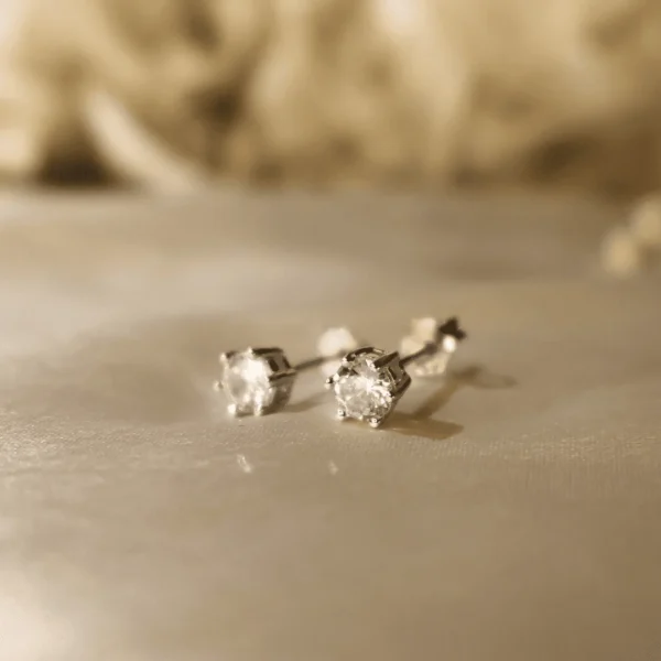 Sturdy Studs Earrings