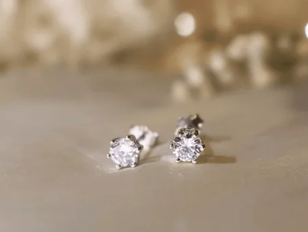 Sturdy Studs Earrings 925 Silver