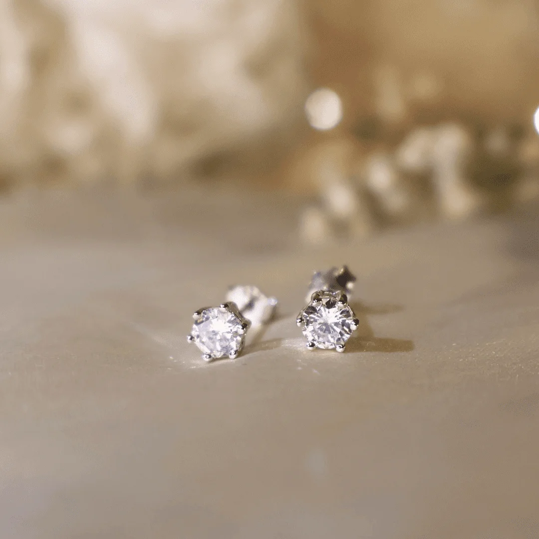 Sturdy Studs Earrings