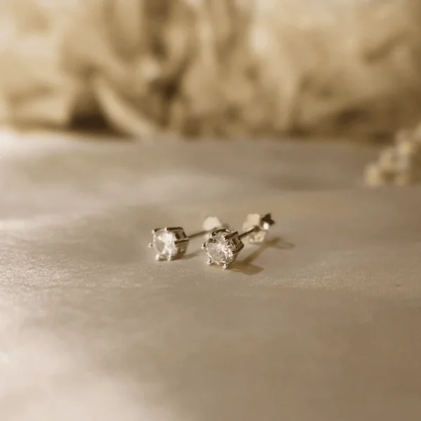 Sturdy Studs Earrings