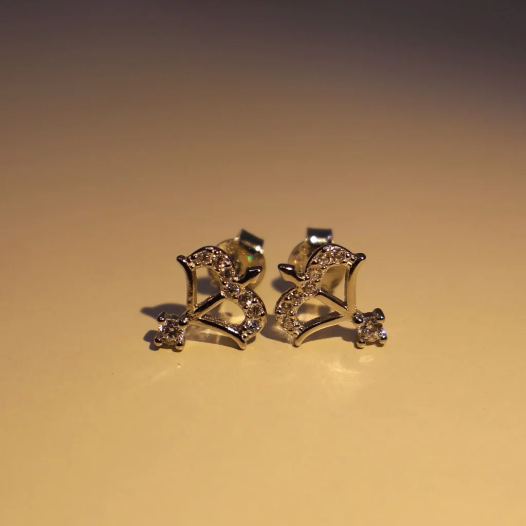 Danush Earrings 925 Silver