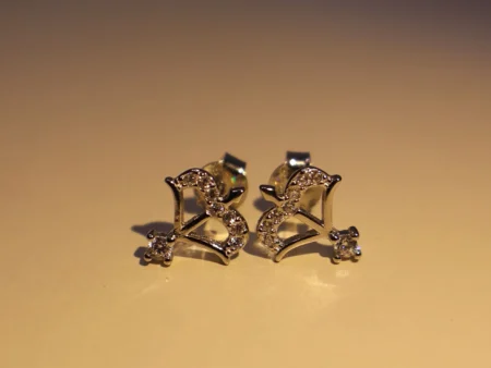 Danush Earrings 925 Silver