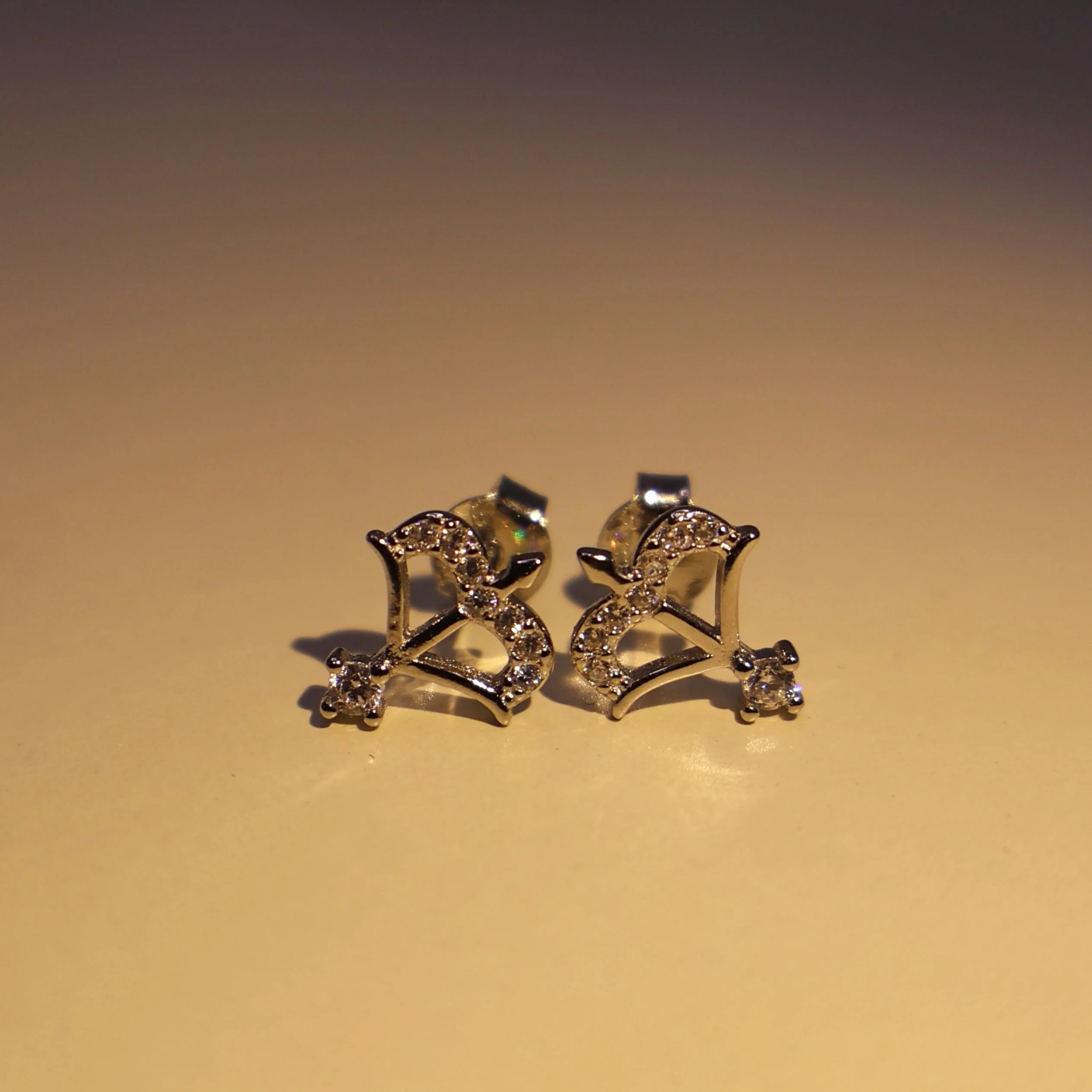 Danush Earrings 925 Silver