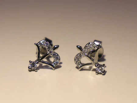 Danush Earrings 925 Silver
