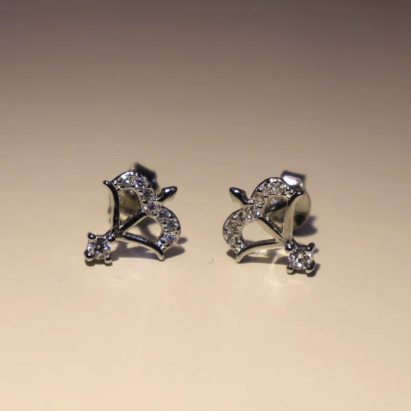 Danush Earrings 925 Silver