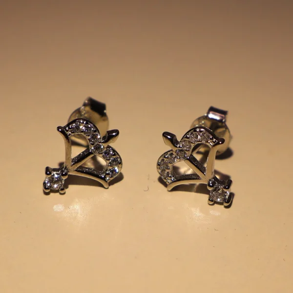 Danush Earrings 925 Silver