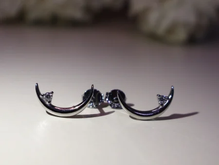 Moon Earrings 925 Silver