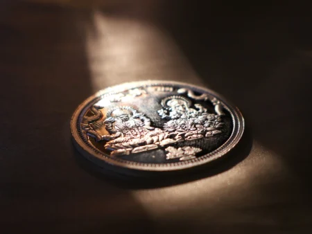 Coin – 999 SOPL Real Silver