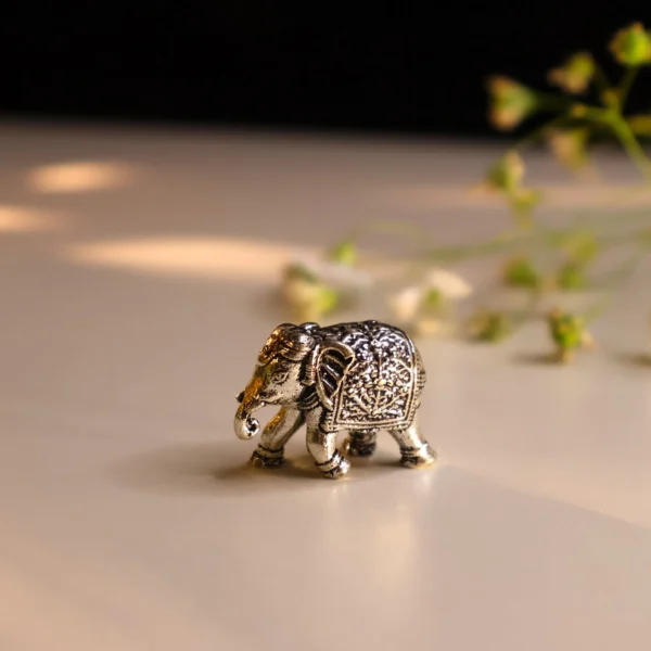 Elephant Ideal 925 Silver