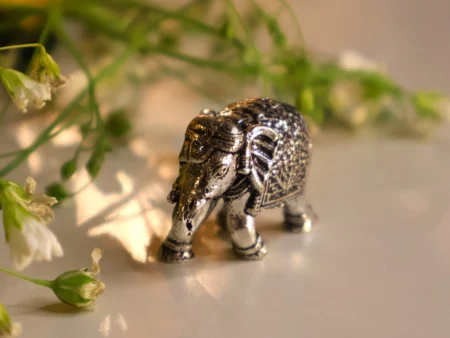 Elephant Ideal 925 Silver