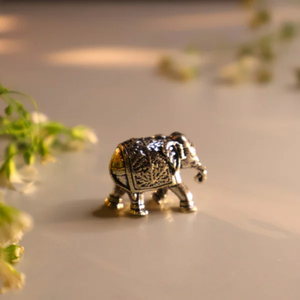 Elephant Ideal 925 Silver
